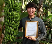 지리산 산청 바나나, 국산 유일 유기농 인증 획득