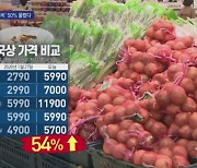 떡·달걀·대파 값 50% '껑충'..입 벌어지는 떡국 재료비