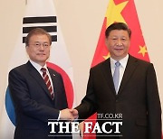 시진핑, 문 대통령에 "비핵화 실현은 공동이익 부합"