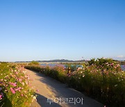 서천군,'휴일엔(N) 놀러와유(遊)' 문체부 생태녹색관광 선정