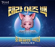 크래프톤 블루홀, 테라 직접 서비스 시작