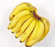 "바나나 많이 먹으면 복부 비만 위험 28%나 줄어"