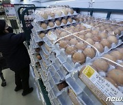 28일부터 달걀 한 판당 5000원대 초반에 판매..달걀값 안정될까?