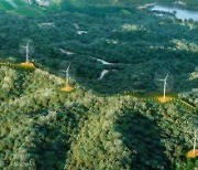 비디아이, 국내 최대 풍력발전 단지 개발허가 절차 돌입