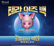 크래프톤 블루홀스튜디오, 테라 직접 서비스 시작