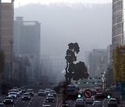 대기오염 노출 심할수록 시력손실 위험 높아진다