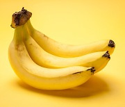 "바나나가 뱃살 없애준다" 얼마나 먹을까?