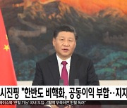 시진핑 "한반도 비핵화, 공동이익 부합..지지"