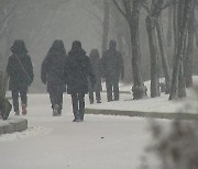 내일 태풍급 강풍에 눈까지.."짧고 굵은 눈보라 될 듯"