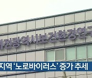 대전지역 '노로바이러스' 증가 추세