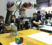 The robots are rising faster in Korea than elsewhere