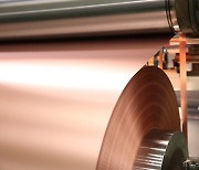 SK Nexilis budgets $589 mn to build first overseas copper foil plant in Malaysia