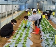 담양군, 귀농인 대상 '영농기초기술' 교육생 모집