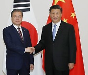 시진핑 "비핵화 실현은 공동이익 부합..文 대통령 지지"