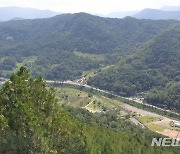 제천 수산 측백나무 숲 생태테마관광 육성사업 선정