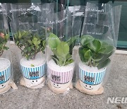 [용인소식]시, 화훼 소비 촉진 위해 중증장애인 화분 전달 등