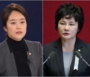 "고민정, 조선시대 왕자 낳은 후궁" 조수진에 與 "희대 망언·성희롱"(종합)