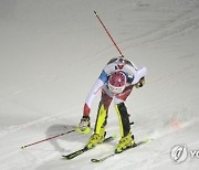 AUSTRIA ALPINE SKIING WORLD CUP