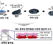 "줄기세포 분화율 2.5배로 높이는 공배양 플랫폼 개발"