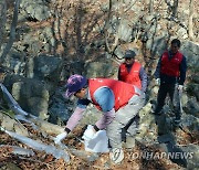 봄이 오는 풍경..거제 고로쇠 수액 채취