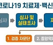"셀트리온 항체치료제, 임상 3상 전제 허가 가능..투여군 제한"(종합)