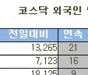 [표]코스닥 외국인 연속 순매수 종목(27일)