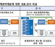 금감원, 내부회계관리제도 외부감사 적용사례 공개