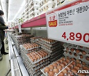 계란 가격 안정화 위해 비축 계란 물량 푼 정부