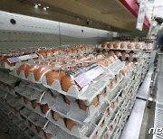 '계란 폭리 잡는다' 정부 비축 계란 판매 시작