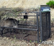 "야생 멧돼지 절반 줄인다" ..충북도, 돼지열병 특별대책 추진