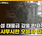 [자막뉴스] 폭설·태풍급 강풍·한파까지..무시무시한 오늘자 일기예보