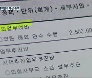 [현장K] 코로나19만 끝나면 해외연수?..지방의회 '민낯'