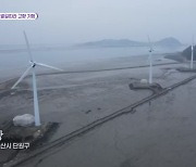 KBS '6시 내고향', 배우 임대호가 찾은 안산의 숨겨진 보물은?