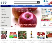 온라인 쇼핑몰 '청송몰' 설맞이 특판..최대 20% 할인