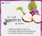 ['맛'있는 건강]겨울에 더 달달한 콜라비로 스프 한 컵