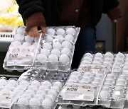 미국산 계란 구매하는 소비자들