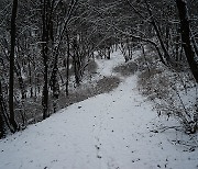 [사진] 눈 내린 봉산 풍경
