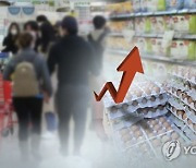 마늘부터 양파까지..곳간 열고 '금채소' 할인 나선 대형 마트