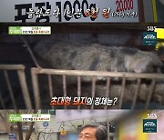 "직접 키운 흑돼지"..'생방송투데이' 고수뎐, 1인분 8천원의 비법