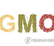 유전자변형식품 0.9%까지 혼입돼도 'Non-GMO' 표시 가능