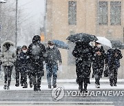 폭설 내리는 서울