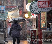 많은 눈 내리는 명동