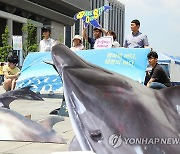 검찰, '고래고기 환부사건' 피고발 검사·변호사 무혐의 종결