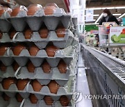 '금계란' 제동, 정부 수매 계란 시장 공급