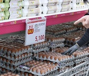 정부 수매 계란, 가격 안정화 안간힘