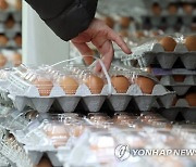 계란값 안정 나선 정부, 수매 물량 시장에 공급