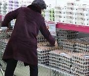 정부 수매 계란, 5천원 내외 가격으로 시장 공급