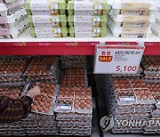 정부, 계란 수매 물량 시장에 공급