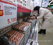 5천원 초반대 정부 수매 계란