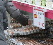 정부 수매 계란 찾는 시민들